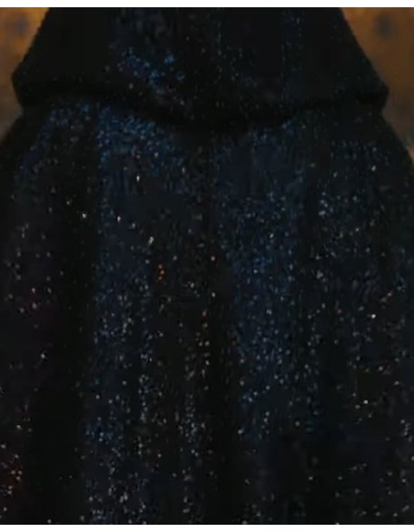 Taylor Swift Bejeweled Cloak
